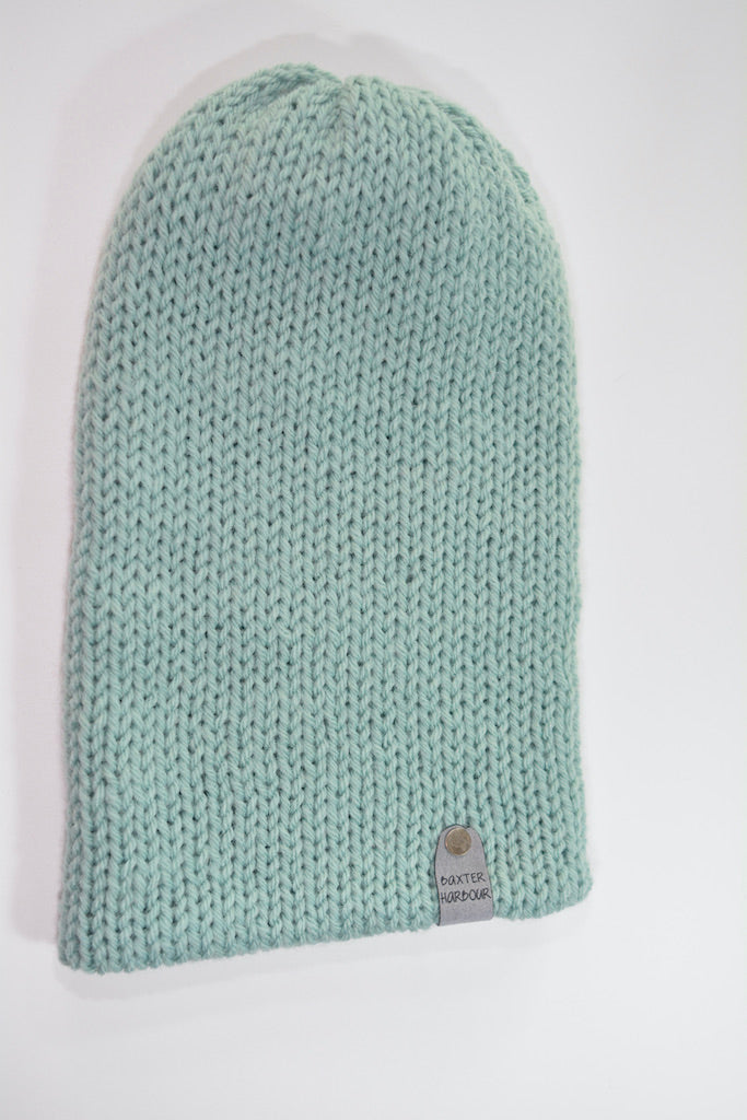 Em  Beanie succulent acrylic