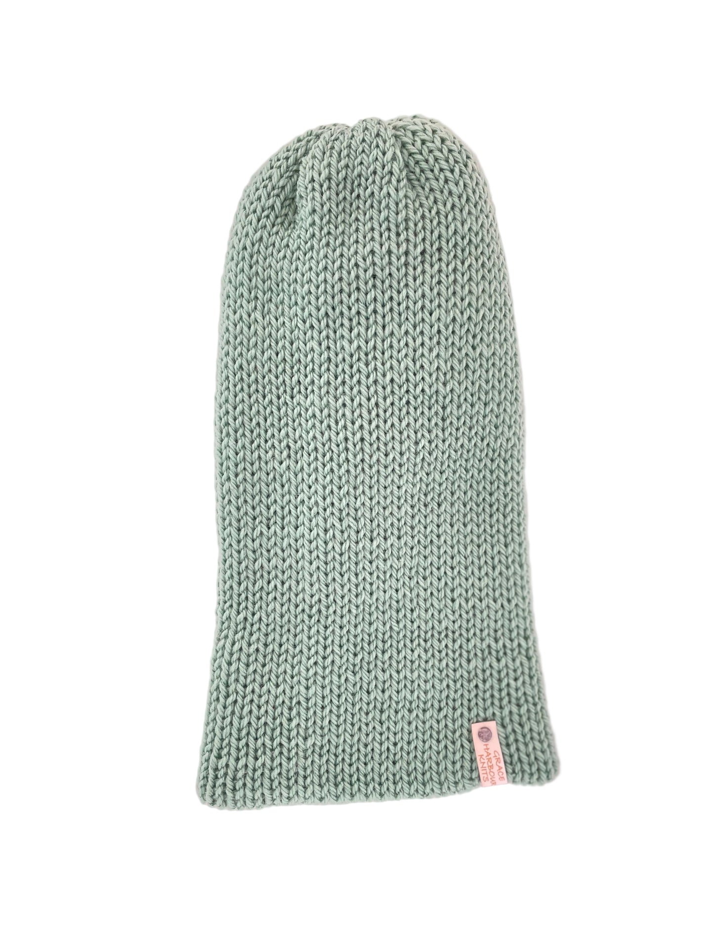 Em  Beanie succulent acrylic