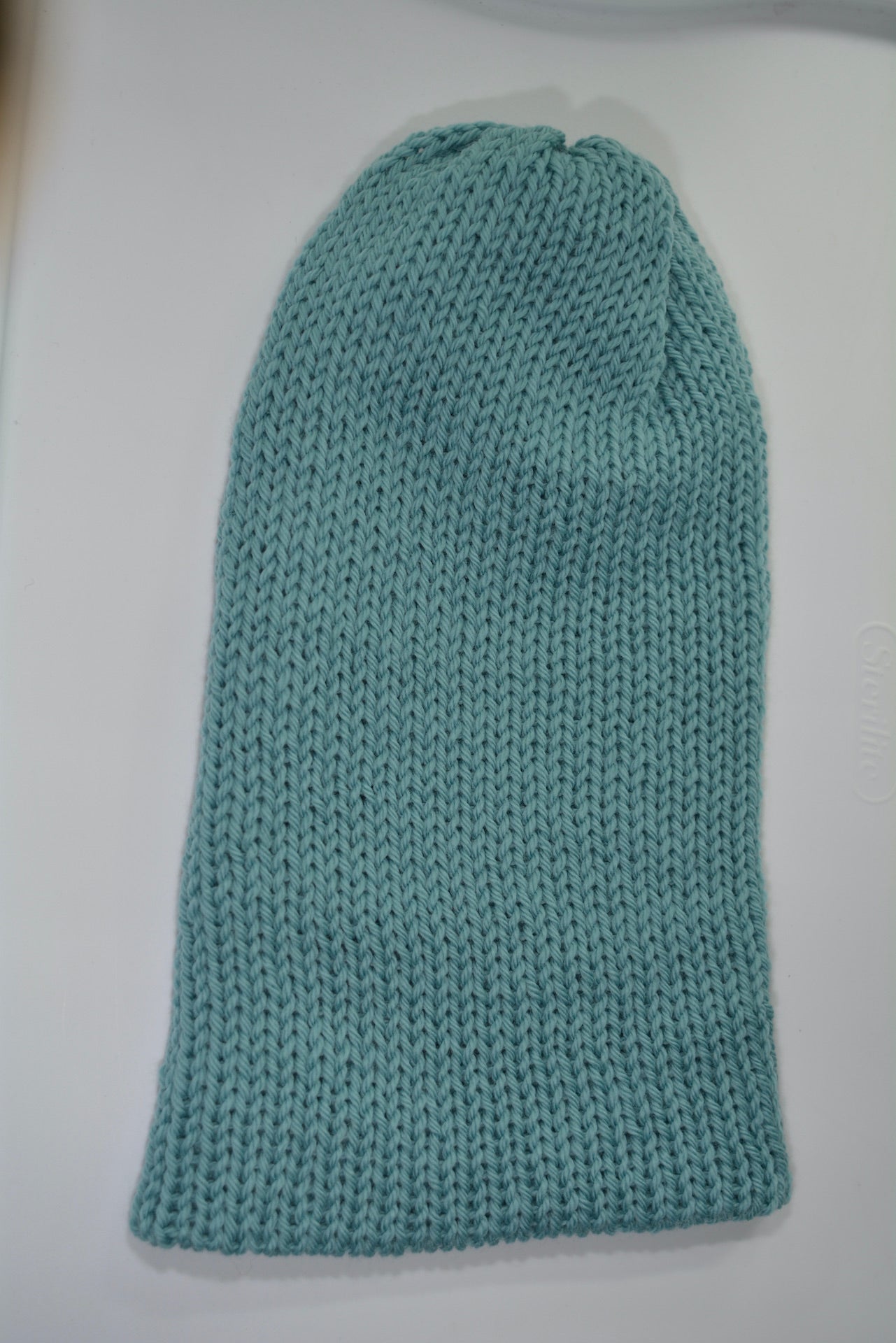 Em  Beanie succulent acrylic