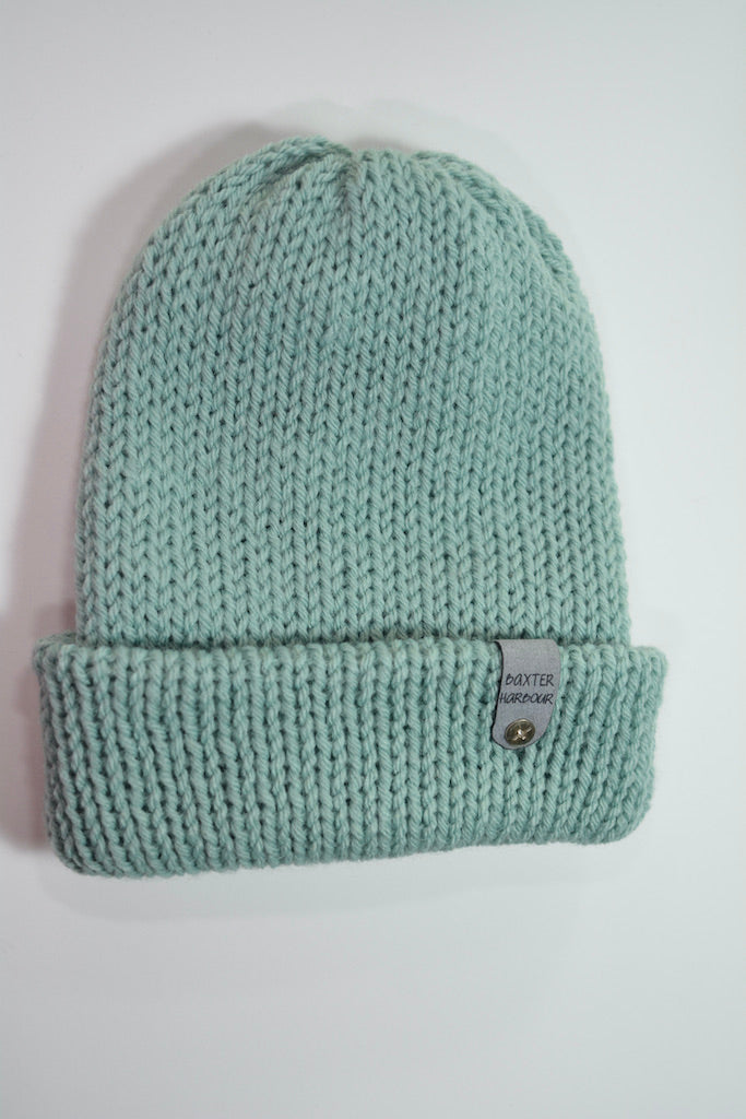 Em  Beanie succulent acrylic